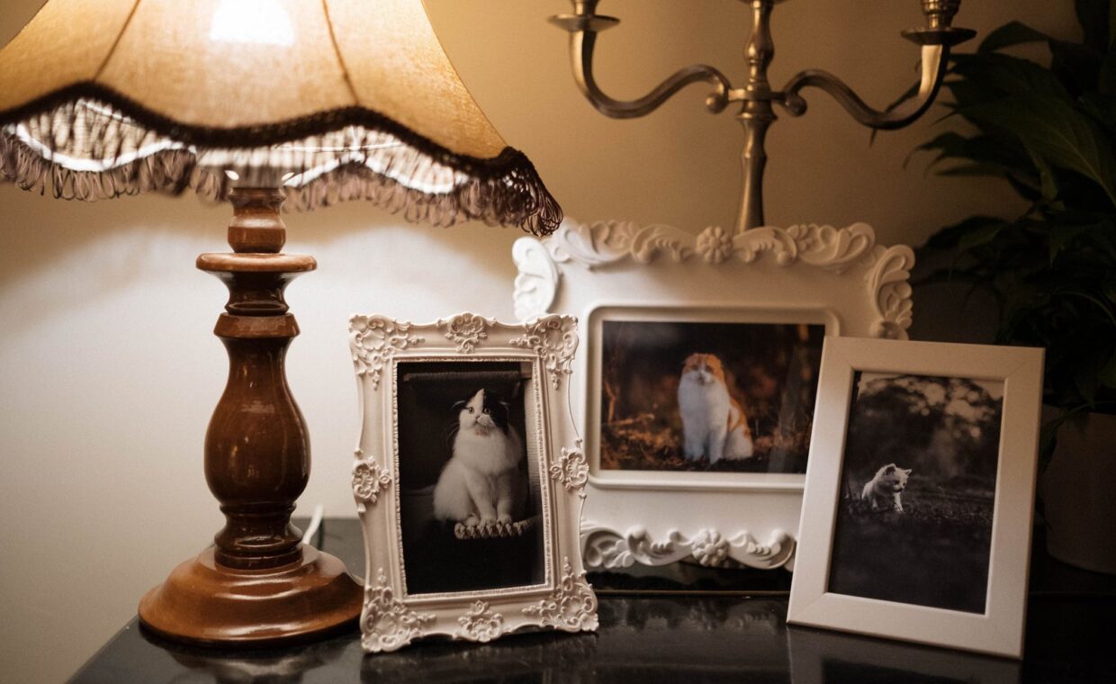 Charming room with vintage lamp, cat photos, and ornate frames.