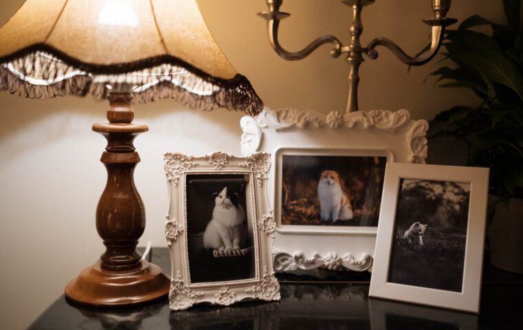 What House-Sitting Really Involves Before You Stay Somewhere Free