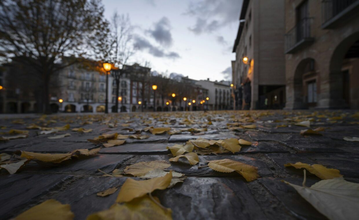 Autumn leaves on a wooden walkway with buildings.